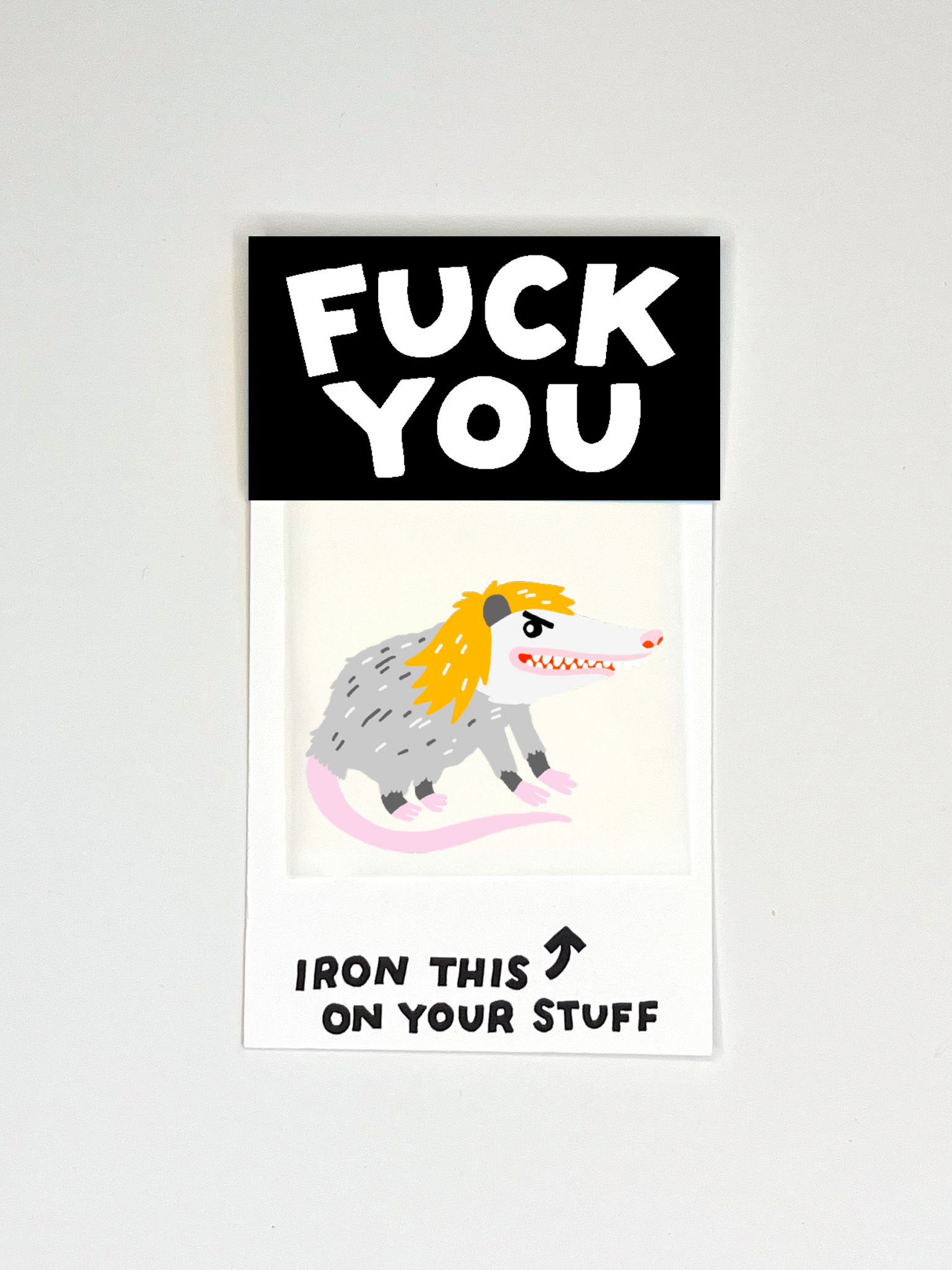 Fuck You Dirtbag Possum L'il Something Iron-On Card