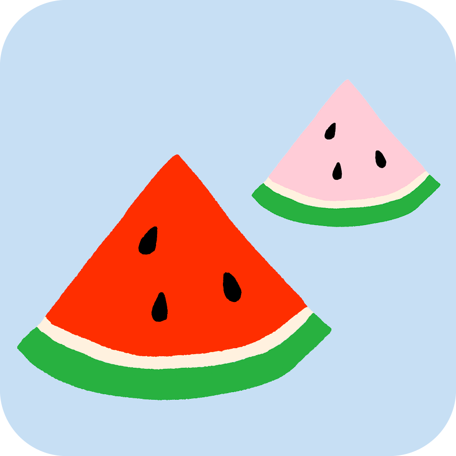 Watermelon Buddies Iron On