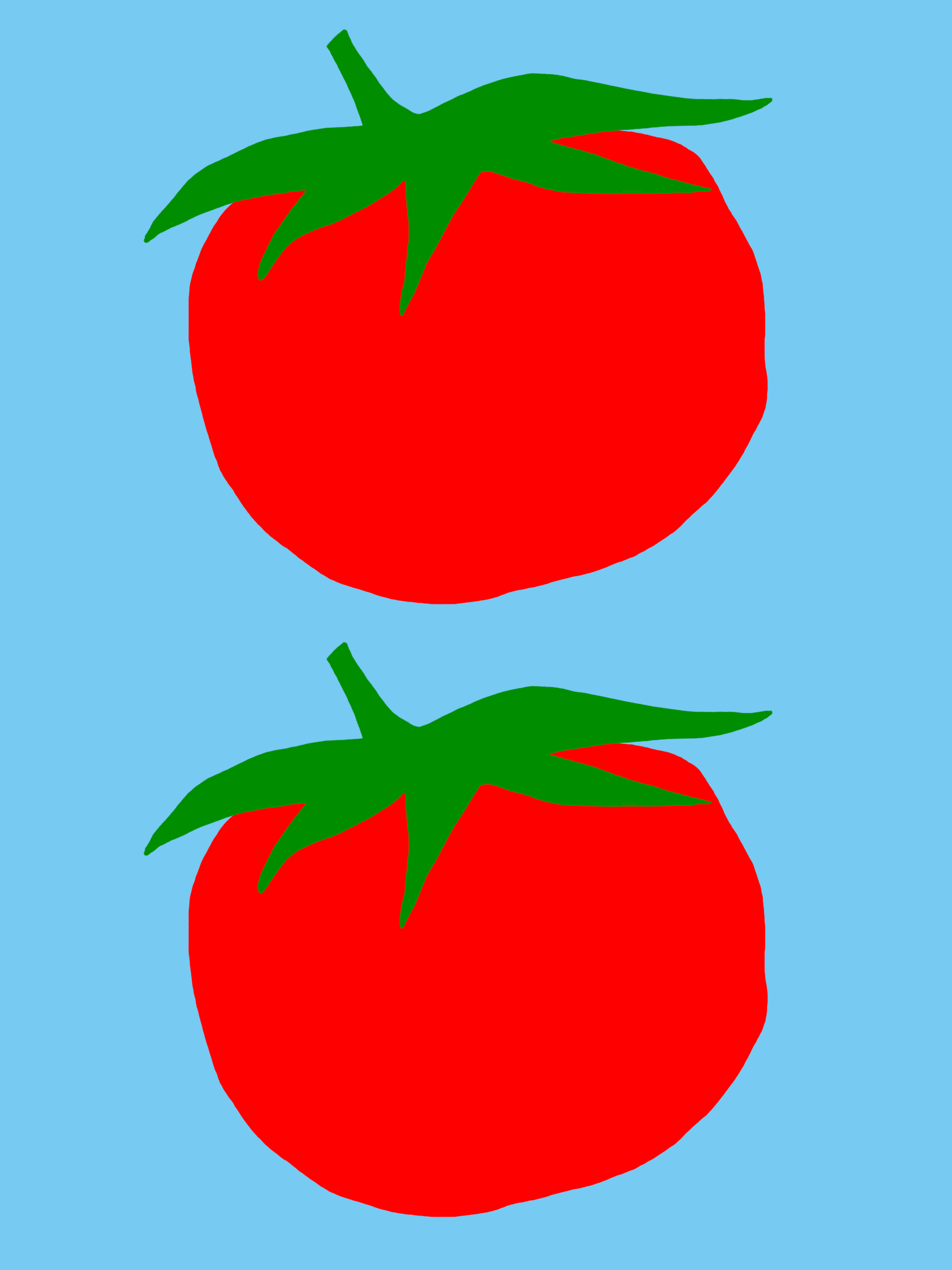 One Big Iron-On Two Maters